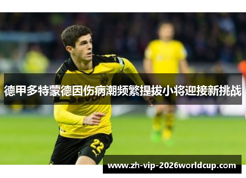 德甲多特蒙德因伤病潮频繁提拔小将迎接新挑战